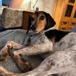 Casey Baird - @caseybaird73 - Instagram