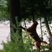 Casey Ball - Facebook