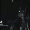🐾𝓆𝓊ℯℯ𝓃🐾 - @caseyballard27 - TikTok