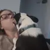 caseyballard4 - @caseyballard4 - TikTok