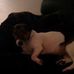 Casey Ballenger - Facebook