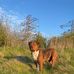 Kasey Barclay - Facebook