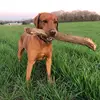 Case Barnette - @casematthew - TikTok