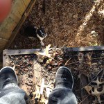 Casey Barnette - @caseyboo2007casey.barnette - Instagram