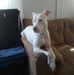 Casey Bartlett - Facebook
