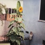 Casey Barton - @caaseybe - Instagram