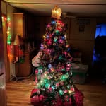 Casey Bass - @caseybass21 - Instagram