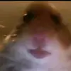 user4659972690242 - @caseybass7 - TikTok