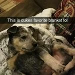 Casey Bates - @bearismypumkin - Instagram