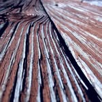 Casey batson - @1000w_rds - Instagram