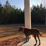 Casey Battle - @battle_branch - Instagram