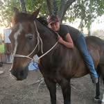 Casey Bauman - @caseybarrelracer19 - Instagram