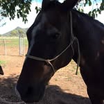 Casey Bauman - @caseybauman2756 - Instagram