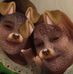 Kazia Barzyk - Facebook