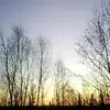 casey_beatty.2001 - @error.2001 - TikTok