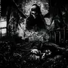 caseybeaulieu368 - @caseybeaulieu368 - TikTok