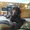Casey Becker - @caseybecker44 - TikTok