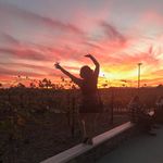 casey_beebe - @casey_beebe - Instagram
