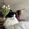 Ceebb - @caseybeebee - TikTok