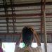Keziah T. Bello - Facebook