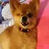 caseybelt4 - @caseybelt4 - TikTok