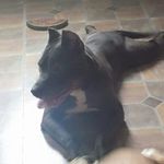 Casey Benner - @ahh_its_a_booger - Instagram
