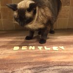 Bentley Casey - @bentley_casey_lileika - Instagram