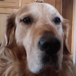 Casey Bentley - @case_ybentley - Instagram