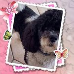 Casey Berger - @berger8155 - Instagram