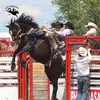 Casey Bertram - @caseybertram89 - TikTok