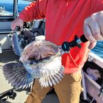 Casey Braun - @braun9125 - Instagram