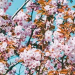 Casey Braun - @caseybraun54 - Instagram