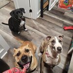Casey Braun Marcotte - @caseymick - Instagram