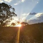 Casey Brunner - @casey.brunner.7 - Instagram