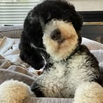 Casey Brunner Gaugler - @cgaugler - Instagram