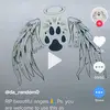 user1036435020298 - @caseybrunner53 - TikTok
