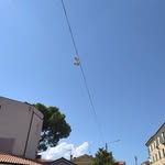Casey Busby - @busby_casey - Instagram