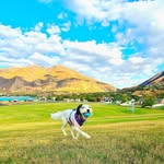 Casey Buss - @br1efcas3 - Instagram