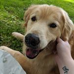Sir Casey M. Butts, Esq. - @caseygram2020 - Instagram