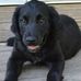 Casey Byer - Facebook