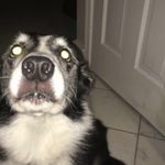 Cece🎾 - @caesar.casey - Instagram