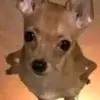 casey.calderon.fp_ - @casey.calderon.fp_ - TikTok