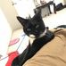 Casey Callender - Facebook