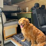 Casey Camper PDX - @caseycamperpdx - Instagram