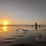 Casey Cannon - @salty__llama - Instagram