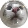 caseycantuu - @caseycantuu - TikTok