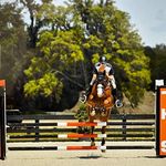 Casey Caplin - @casey_eq - Instagram