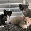 Casey Caputo - @casey.caputo0 - TikTok