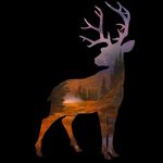 Casey Carl - @supertrucker35 - Instagram