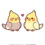 Casey & Carlos - @cockatielcuties - Instagram